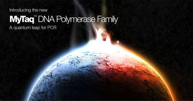MyTaq DNA Polymerase Family